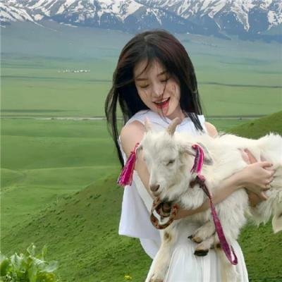 美丽谎言2014